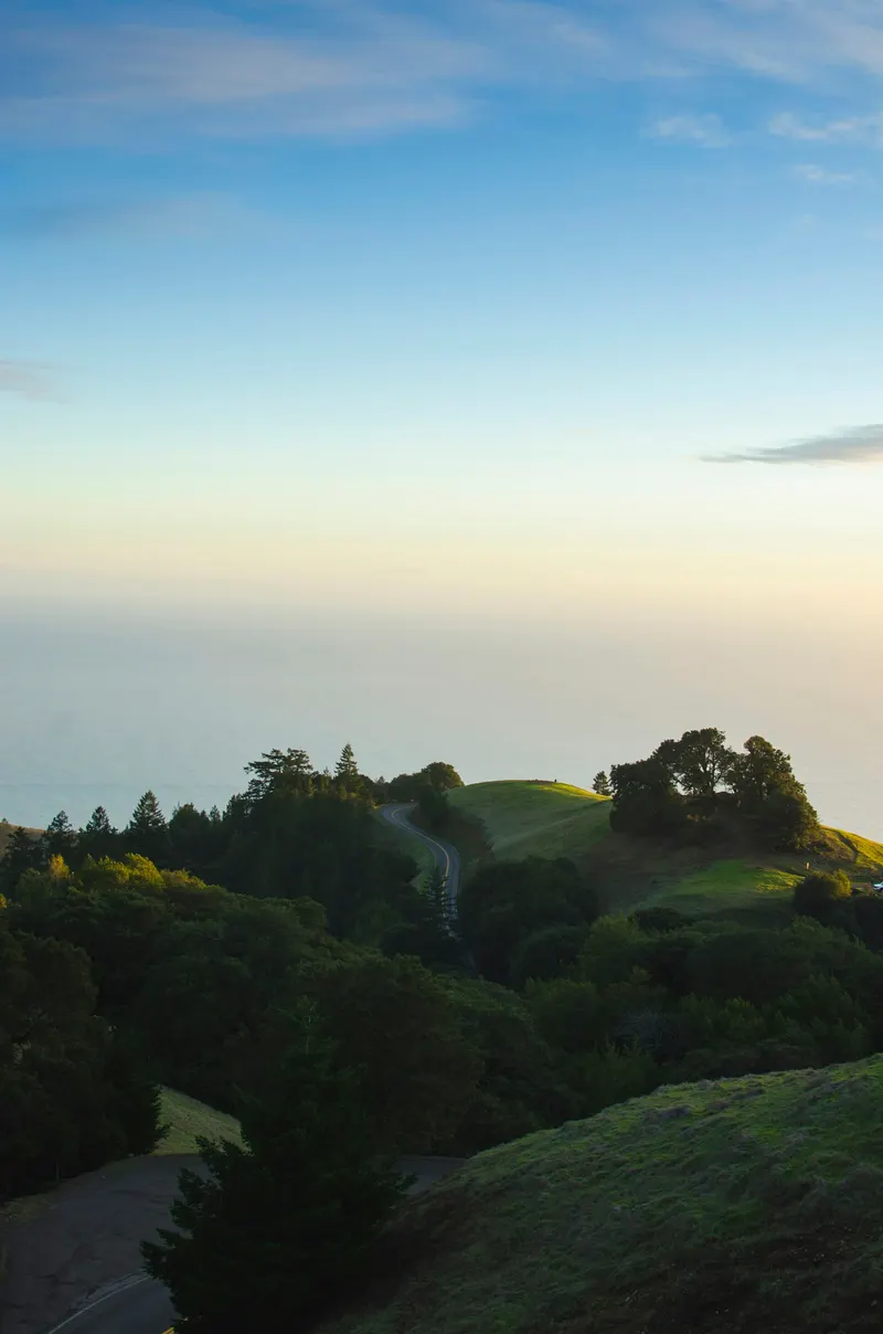 Sunlight across the rolling hills of Marin County